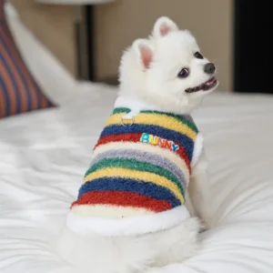 Rainbow Striped Puppy Sweater Winter Bichon Frise Warm Clothing Small to Medium Dog Pullover Pet Supplies